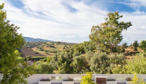 Double or Twin Room with Mountain View