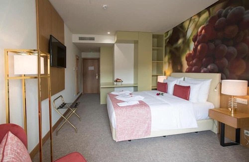 Lamego Hotel | Douro Castelo Signature