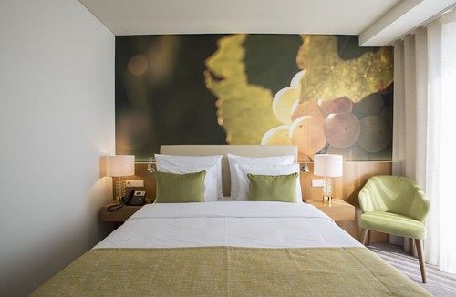 Lamego Hotel | Douro Castelo Signature