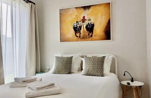 Ponta Delgada Hostel | The Holy Cow - Hostel & Suites
