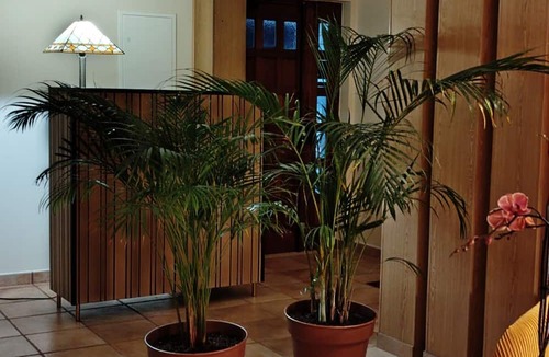 Grandola House | Elodie's Country House