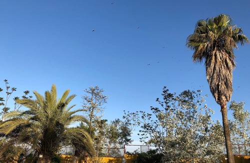 Setubal Other | Quinta Lagus Resort - Palmela | Clump