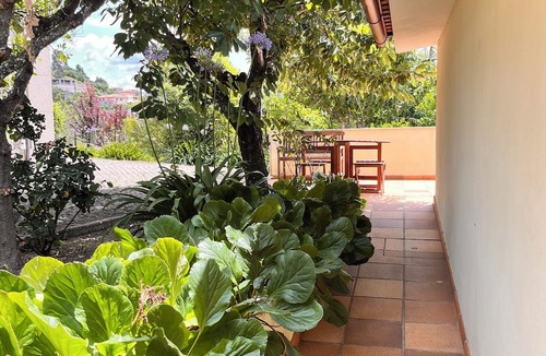 Cabeceiras de Basto Other | Nomad's Country - The Garden House