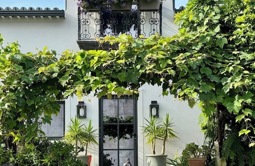 Ribeira Grande House | Maison Émeraude
