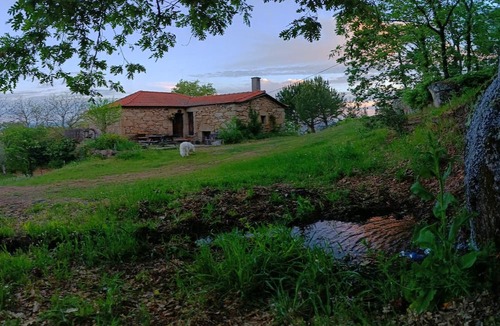 Tarouca Cottage | Casa Florestal @quintafelizardas