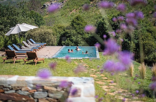 Videmonte Bed & Breakfast | TerraSense Mountain Charm Retreat & Farm