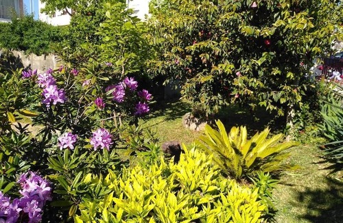 Sao Tiaguinho House | Discover the perfect getaway in the heart of Vouzela and feel the rhythm of nature!