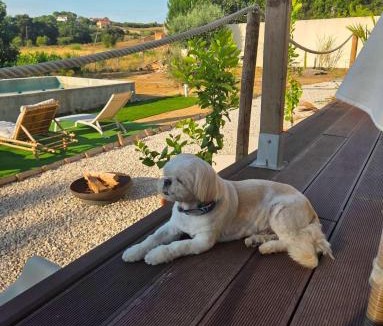 Azambuja House | Maçussa Country House