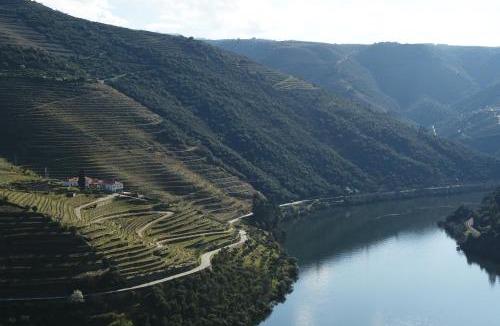 Bomfim Hotel | Hotel Rural Quinta Do Pego