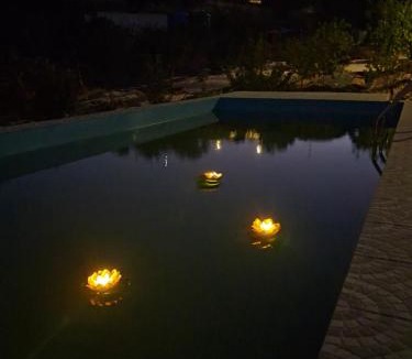 Rasmalho House | Quarto das Oliveiras - Dream Valley Accommodation