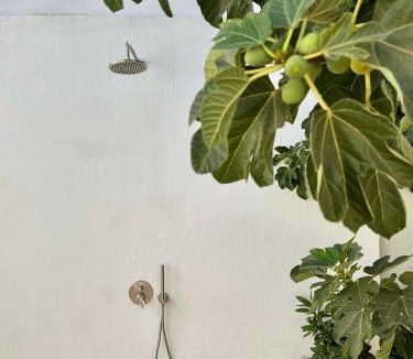 Grandola House | Casa Pátio Grândola