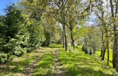 Paredes de Coura House | Paredes de Coura Villa