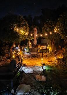 Silves Resort | Mons Livius