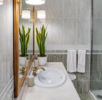 Espinho House | Casa do Lago guest house