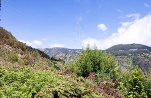 Tabua Villa | Casa Vale Bravio by Escape to Madeira