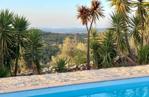 Soure Villa | Vila na Colina