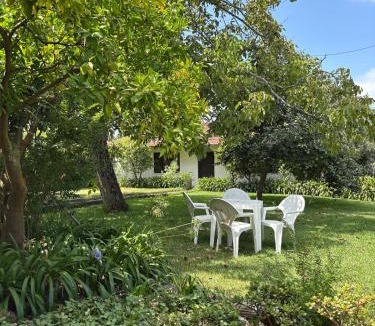 Pombal Apartment | Casa Leonor - the grandma's house