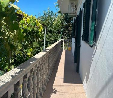 Cabril House | Casa Misarela