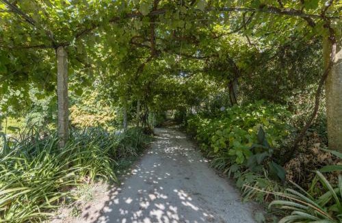 Arcozelo House | Corn House