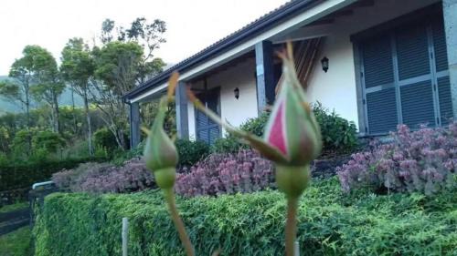 Prainha House | Ocean Melody