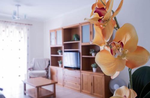Parchal House | Villa BelaVista with Private Pool