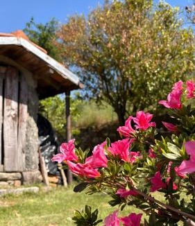 Paredes de Coura House | Quinta Natureza de Coura