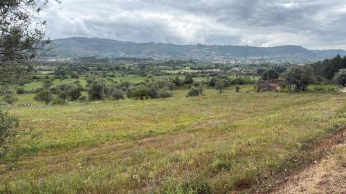 Penela House | Villa Carmel - Private Camino de Santiago House in Rabaçal