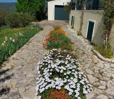 Loule Ski Chalet | Casa do Castelão