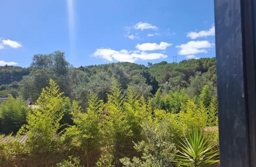 Setubal House | FALCOARIA Eco