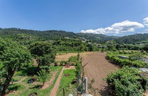 Castro Daire House | Casa da Moleira - Hostiva