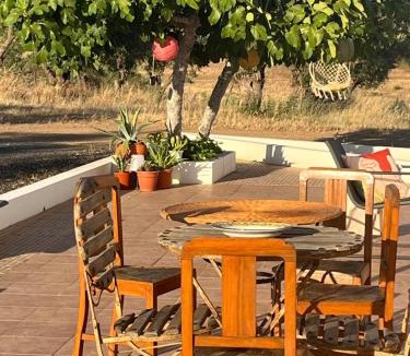 Moura Villa | Quinta Monte da Azinheira