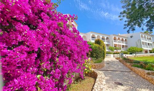 Praia da Rocha Apartment | Algarve Resort Apartment near the beach Vila Rosa 407