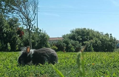 Vila do Conde Bed & Breakfast | Moimenta Guest House