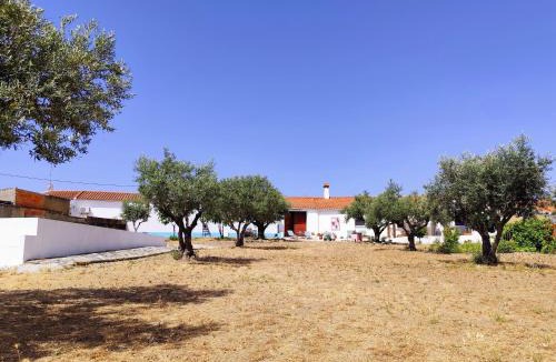 Reguengos de Monsaraz House | Refúgio do Artur - Casa no Campo