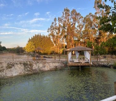 Ponte de Sor Villa | Villa Solar da Fonte - Montargil