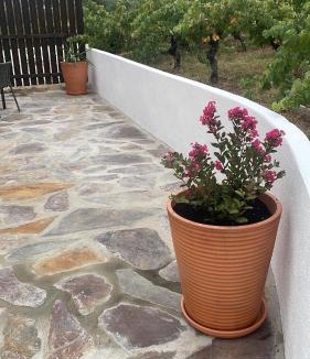 Miranda do Corvo House | Casa Borboleta