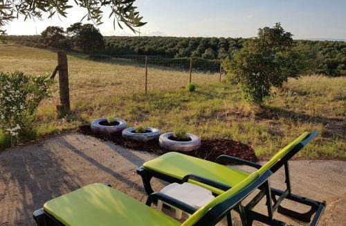 Sao Vicente do Paul House | Charming House Santarém + Pool