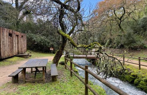 Leiria House | Grota Lodging
