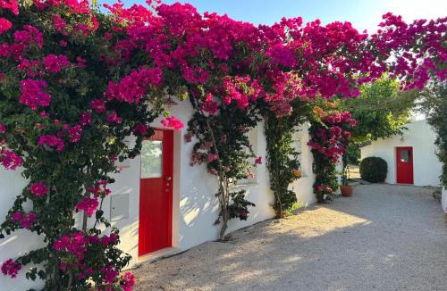 Vila Nova De Cacela House | Quinta Castor