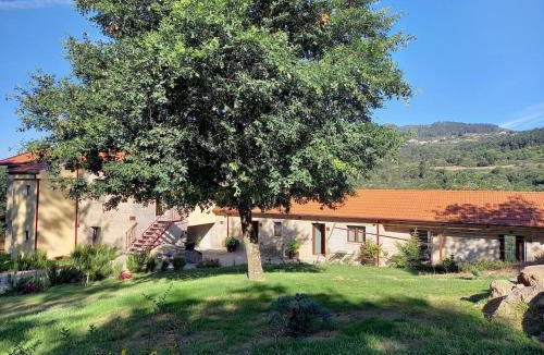 Amarante Apartment | Quinta Pedra do Rio - Amadeo