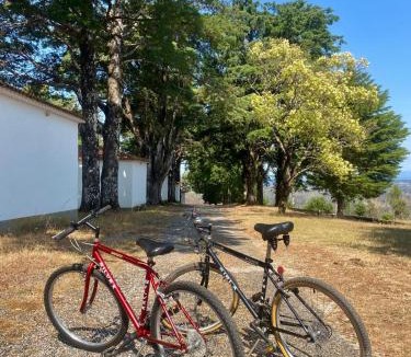 Aldeia das Dez House | CASA do AÇÔR