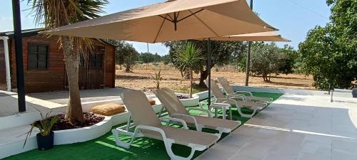 Coruche House | Quinta Do Pinheirão