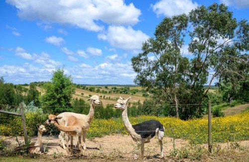 Santiago do Cacem Villa | Turisnmo rural Monte vale pereiro