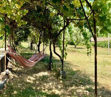 Gois Bed & Breakfast | House of Vines