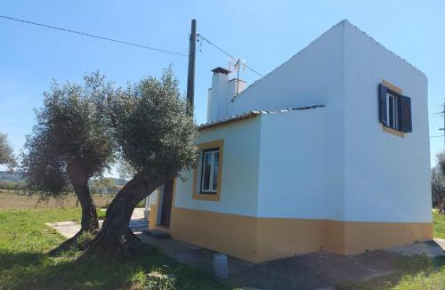 Alvito House | Cabana do Compadre