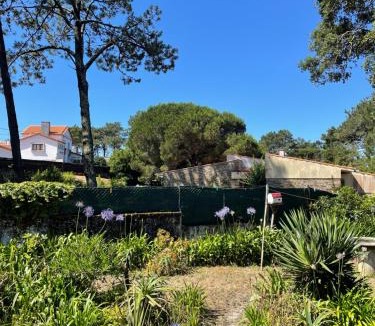Caminha House | Casa do Pinhal