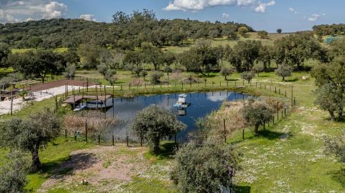 Estremoz Bed & Breakfast | Monte da Pechincha - Country House & Spa