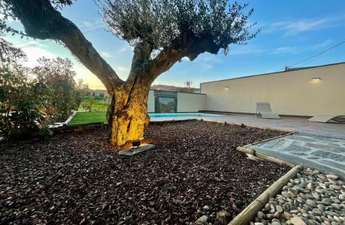 Mogadouro House | Turismo e Alojamento dos Lagos do Sabor - Piscina & SPA