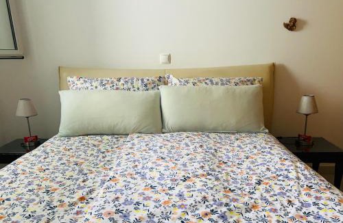 Vila Baleira Apartment | Vista Dourada