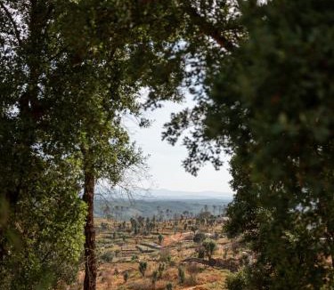 Nelas Hotel | Oakstone Hills